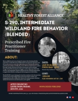 S-290, Intermediate Wildland Fire Behavior (Blended)